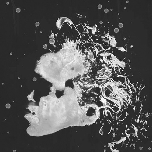 Annie Halliday - Visual Artist