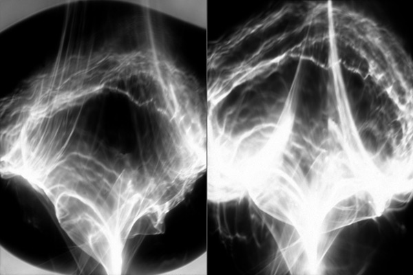 light waves
